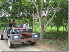 Thailand 053